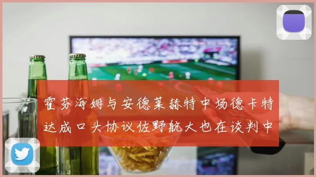 霍芬海姆与安德莱赫特中场德卡特达成口头协议佐野航大也在谈判中