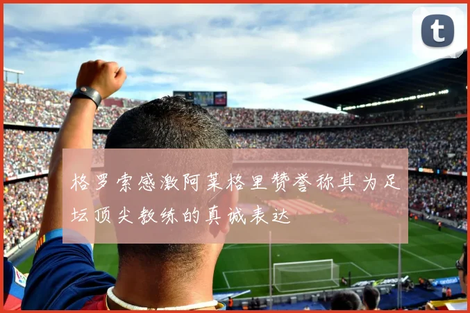 格罗索感激阿莱格里赞誉称其为足坛顶尖教练的真诚表达
